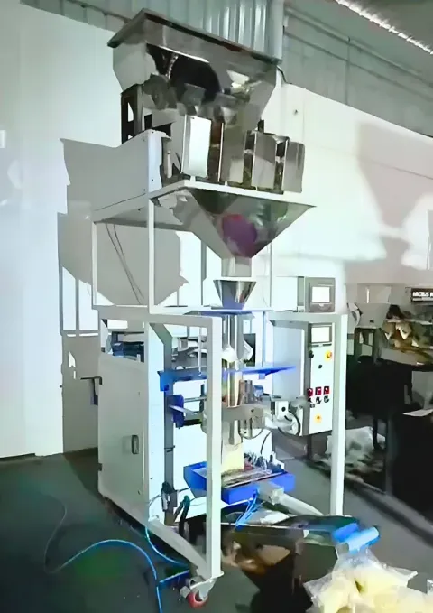 Discover Packing Machines A Clear and Practical Guide for Businesses, Manufacturers, and Learners